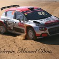 Rally de Portugal 2018  (473).JPG